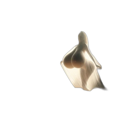 jewelry, crown, shoes, flower transparent PNG cut-out