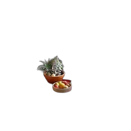 shoes, food, jewelry, 3d render transparent PNG cut-out