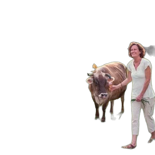 animal, creature, dress, photorealistic transparent PNG cut-out