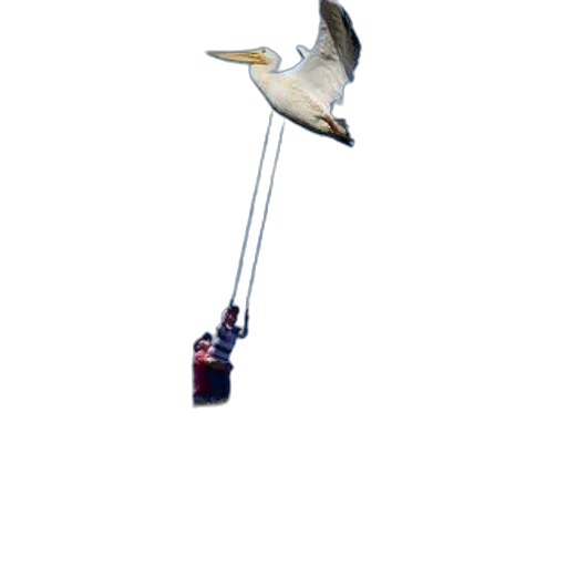 staff, animal, weapon, jewelry transparent PNG cut-out