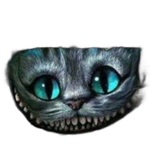 creature, mask, animal, face transparent PNG cut-out