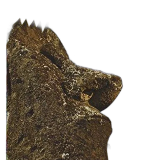crown, staff, dragon, animal transparent PNG cut-out
