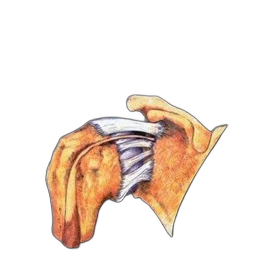mask, jacket, jewelry, weapon transparent PNG cut-out