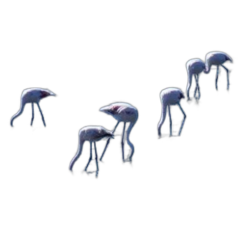 creature, animal, furniture, umbrella transparent PNG cut-out