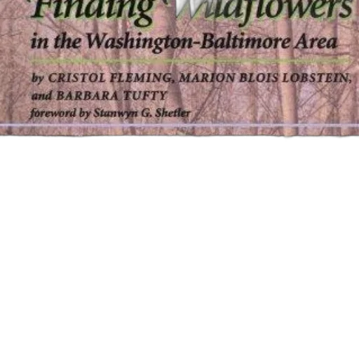 book, cover, title, finding transparent PNG cut-out