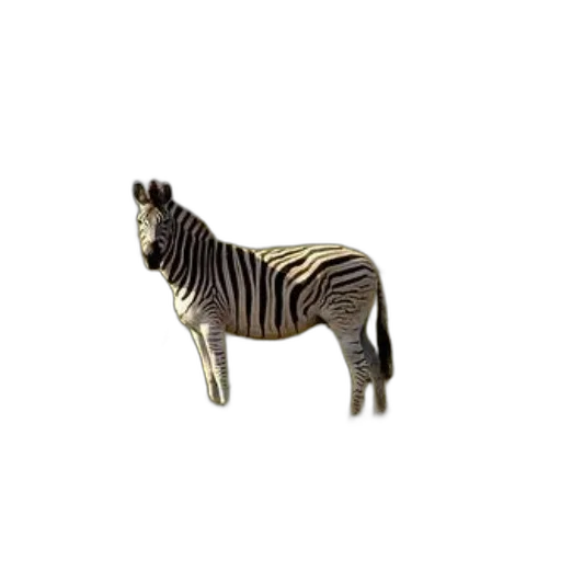 animal, creature, furniture, jewelry transparent PNG cut-out