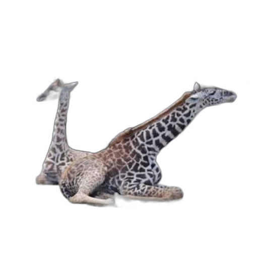 animal, dragon, creature, jewelry transparent PNG cut-out