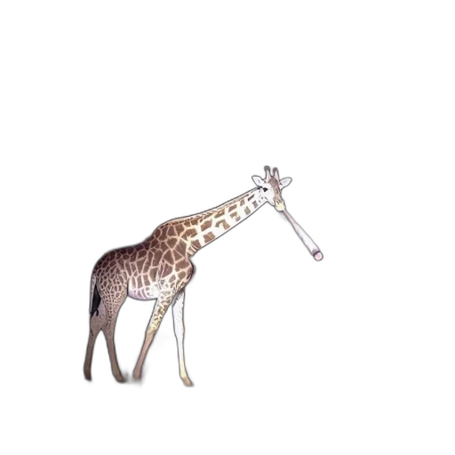 animal, creature, jewelry, staff transparent PNG cut-out