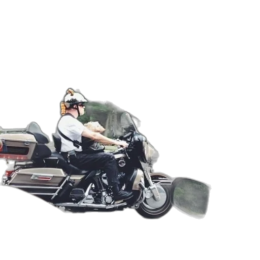 weapon, car, animal, photorealistic transparent PNG cut-out