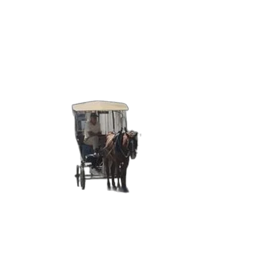 furniture, staff, animal, car transparent PNG cut-out