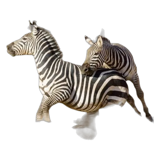 animal, jewelry, 3d render, photorealistic transparent PNG cut-out