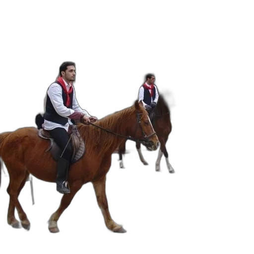 jacket, animal, concept art, 3d render transparent PNG cut-out