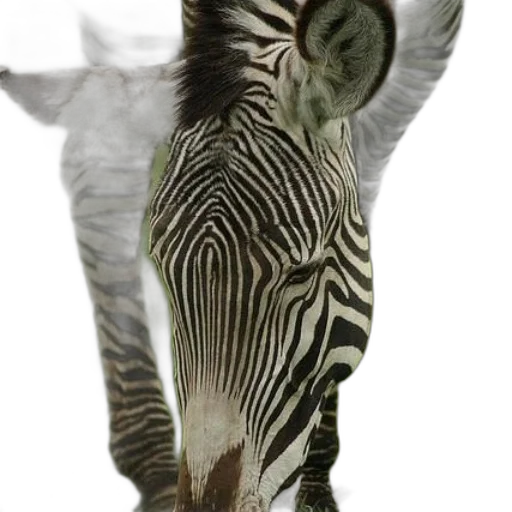 animal, creature, staff, mask transparent PNG cut-out