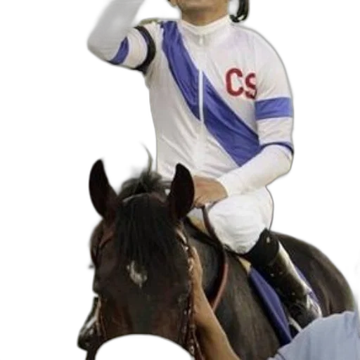 animal, staff, photorealistic, jockey transparent PNG cut-out