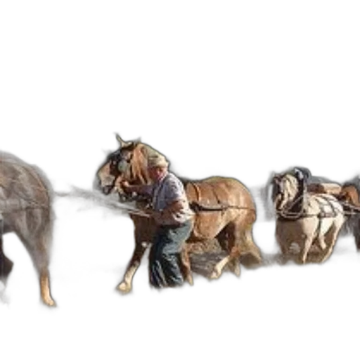 animal, concept art, photorealistic, fantasy art transparent PNG cut-out