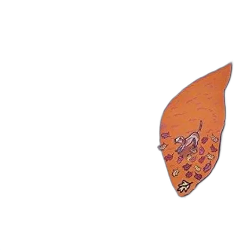 umbrella, mask, food, jewelry transparent PNG cut-out