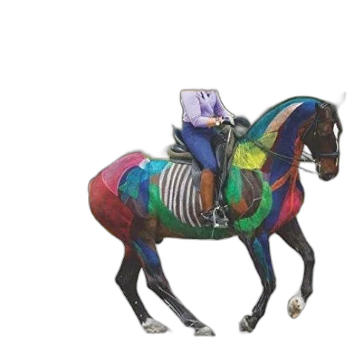 jacket, robot, animal, creature transparent PNG cut-out