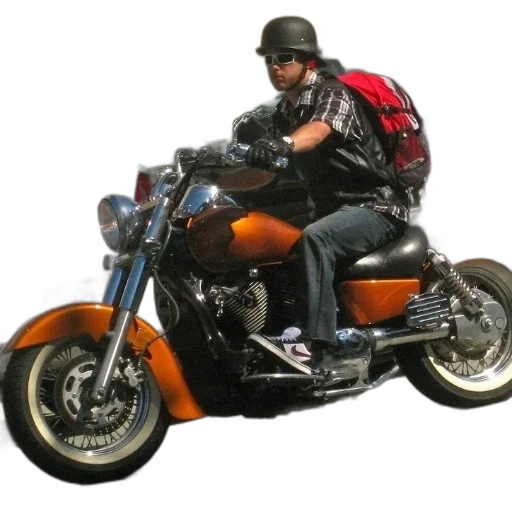 jacket, weapon, hat, animal transparent PNG cut-out