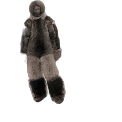 jacket, animal, creature, arctic transparent PNG cut-out