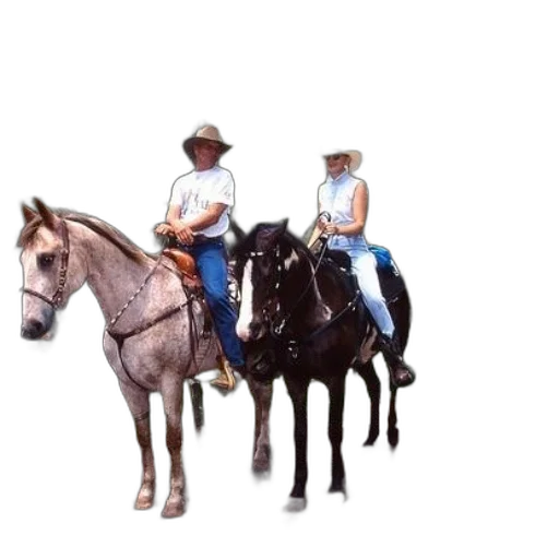 hat, staff, animal, photorealistic transparent PNG cut-out