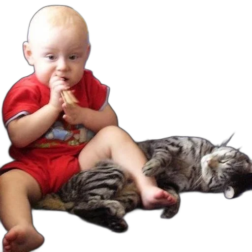 photorealistic, baby, red, shorts transparent PNG cut-out
