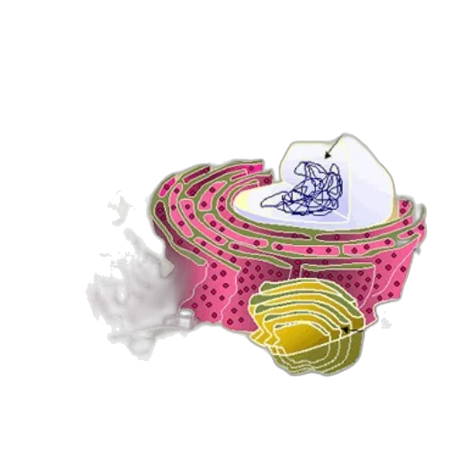 jewelry, hat, crown, mask transparent PNG cut-out