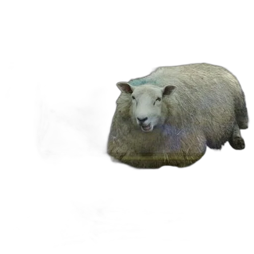 animal, creature, hat, weapon transparent PNG cut-out
