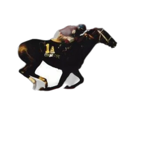 animal, jewelry, crown, weapon transparent PNG cut-out