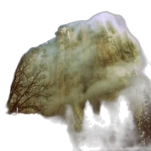 creature, tree, animal, hair transparent PNG cut-out