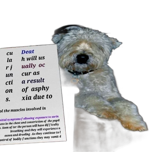 creature, animal, dragon, robot transparent PNG cut-out