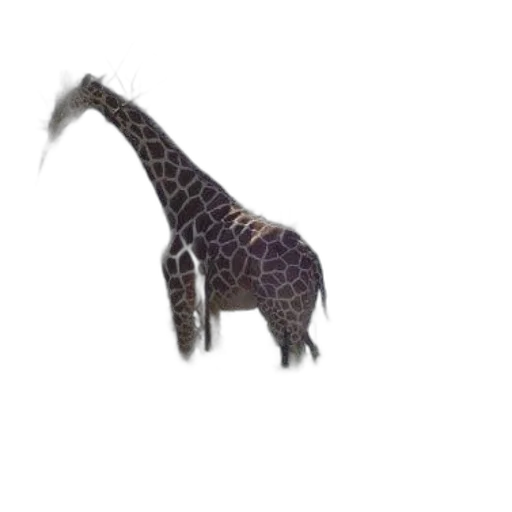 animal, creature, staff, dragon transparent PNG cut-out