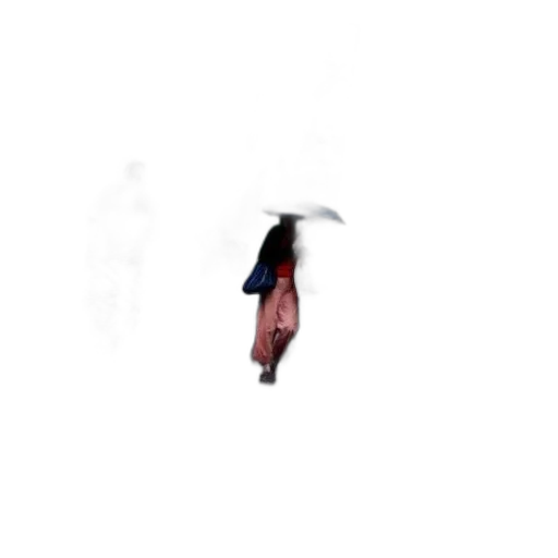 umbrella, hat, staff, jacket transparent PNG cut-out