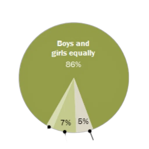 pie, chart, showing, people transparent PNG cut-out