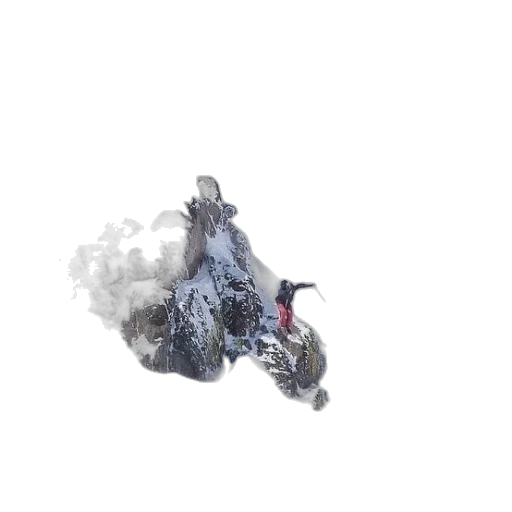 dragon, creature, animal, hair transparent PNG cut-out