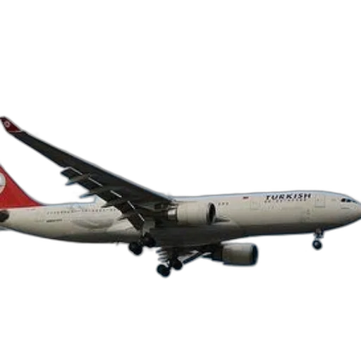 staff, turkish, airlines, airplane transparent PNG cut-out
