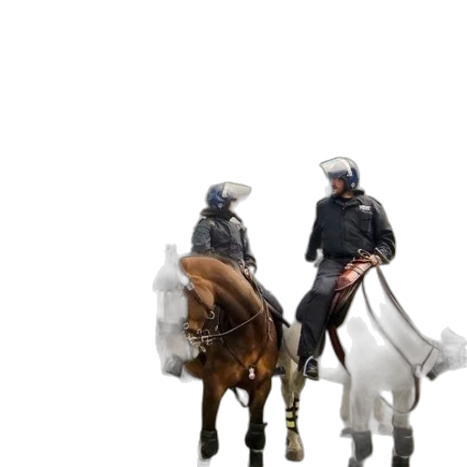 animal, hat, concept art, 3d render transparent PNG cut-out