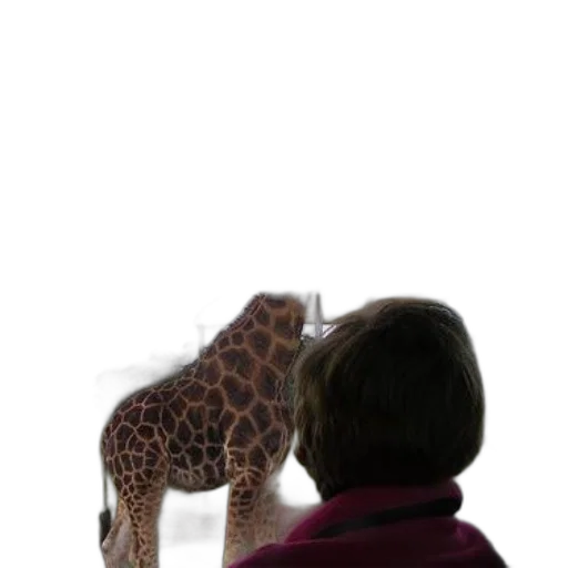 animal, creature, staff, face transparent PNG cut-out