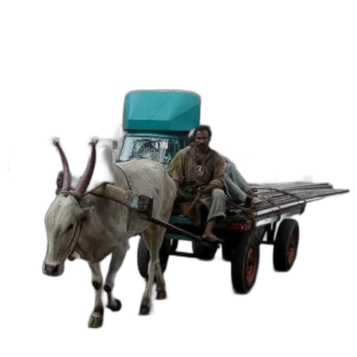 car, animal, furniture, 3d render transparent PNG cut-out