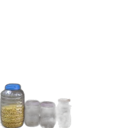 bottle, jewelry, food, dress transparent PNG cut-out