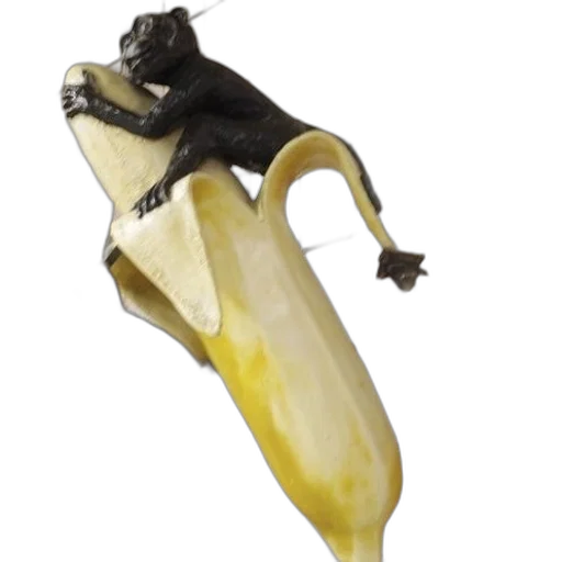 food, animal, staff, weapon transparent PNG cut-out