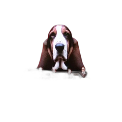 animal, staff, creature, face transparent PNG cut-out