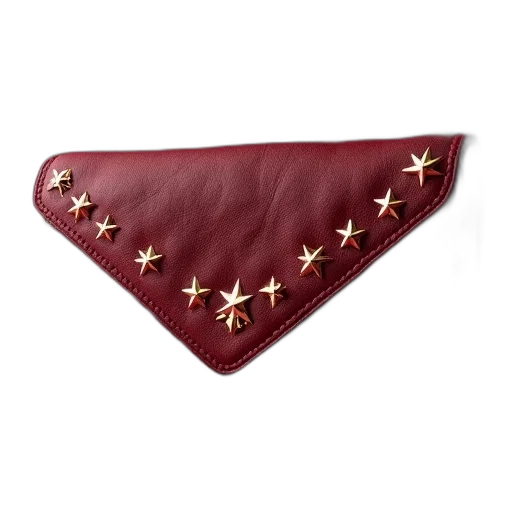 jacket, crown, staff, jewelry transparent PNG cut-out