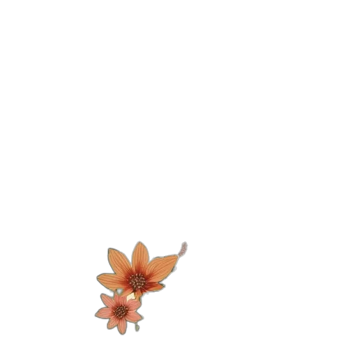 flower, creature, animal, dragon transparent PNG cut-out