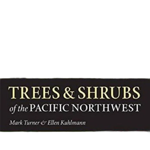 trees, shrubs, pacific, northwest transparent PNG cut-out