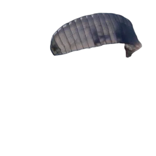 hat, umbrella, animal, creature transparent PNG cut-out