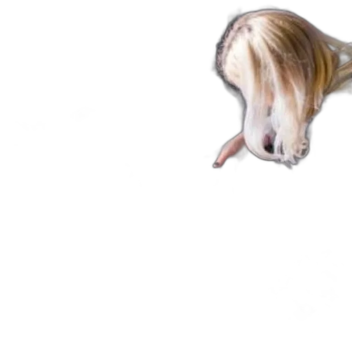 hair, animal, creature, dragon transparent PNG cut-out