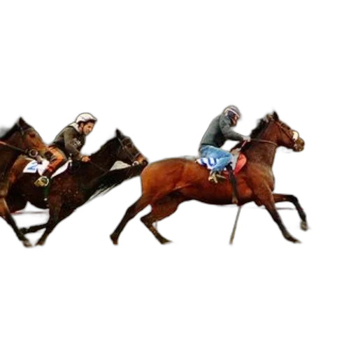 animal, concept art, two, jockeys transparent PNG cut-out