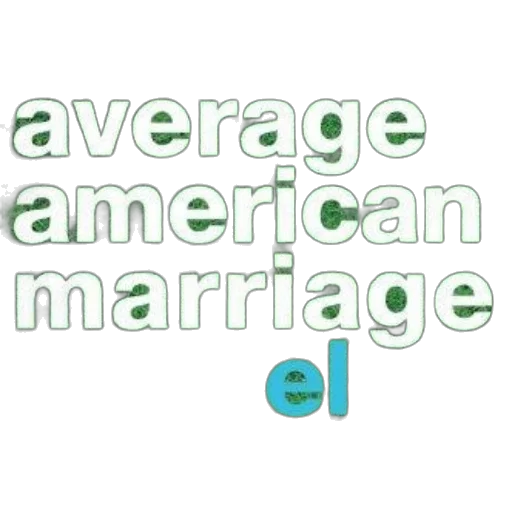 cover, average, american, marriage transparent PNG cut-out