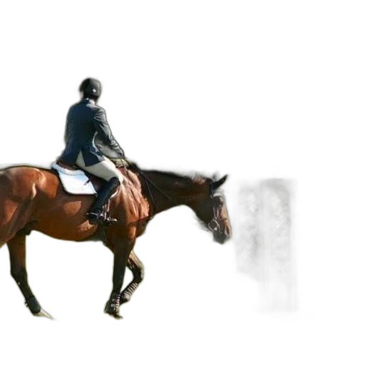 animal, jacket, photorealistic, concept art transparent PNG cut-out