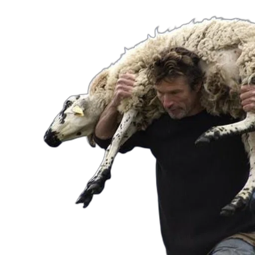 animal, creature, dragon, concept art transparent PNG cut-out